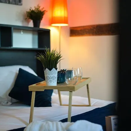 Gare - Le Grenier De Beauvoisine Apartment *