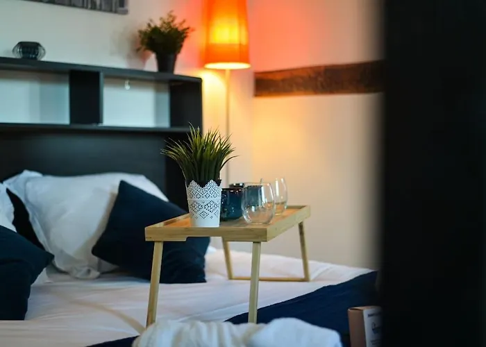 Gare - Le Grenier De Beauvoisine Apartment *