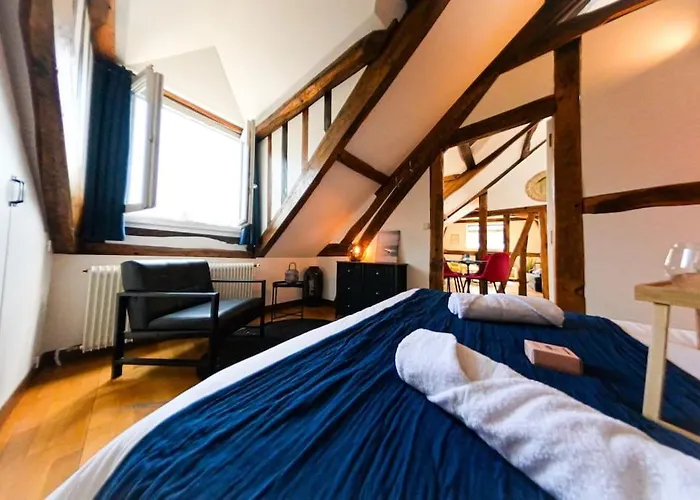 Apartman Gare - Le Grenier De Beauvoisine *